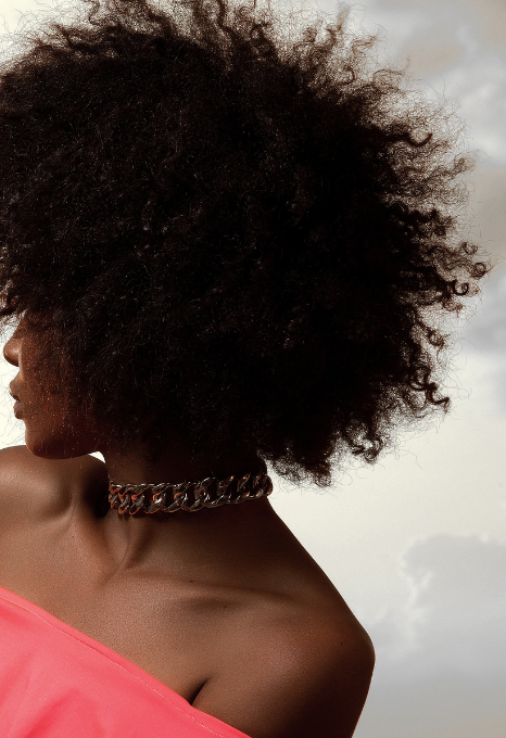 Chébé : origine, usage traditionnel et limites à connaître